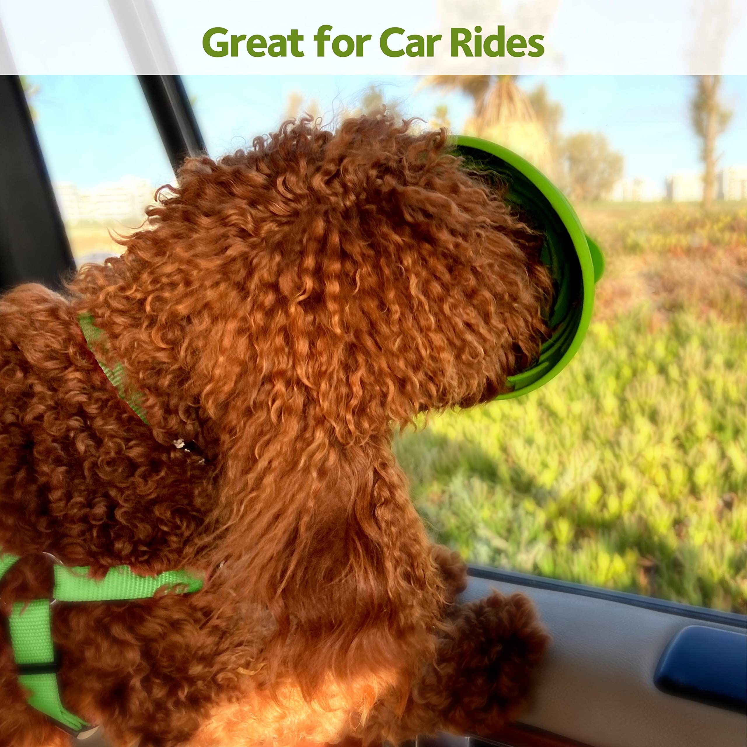 Why Does My Dog Lick His Stuffed Toys