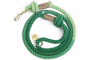 Mystified Exquisite Green Ombre Rope Leashes for Dogs