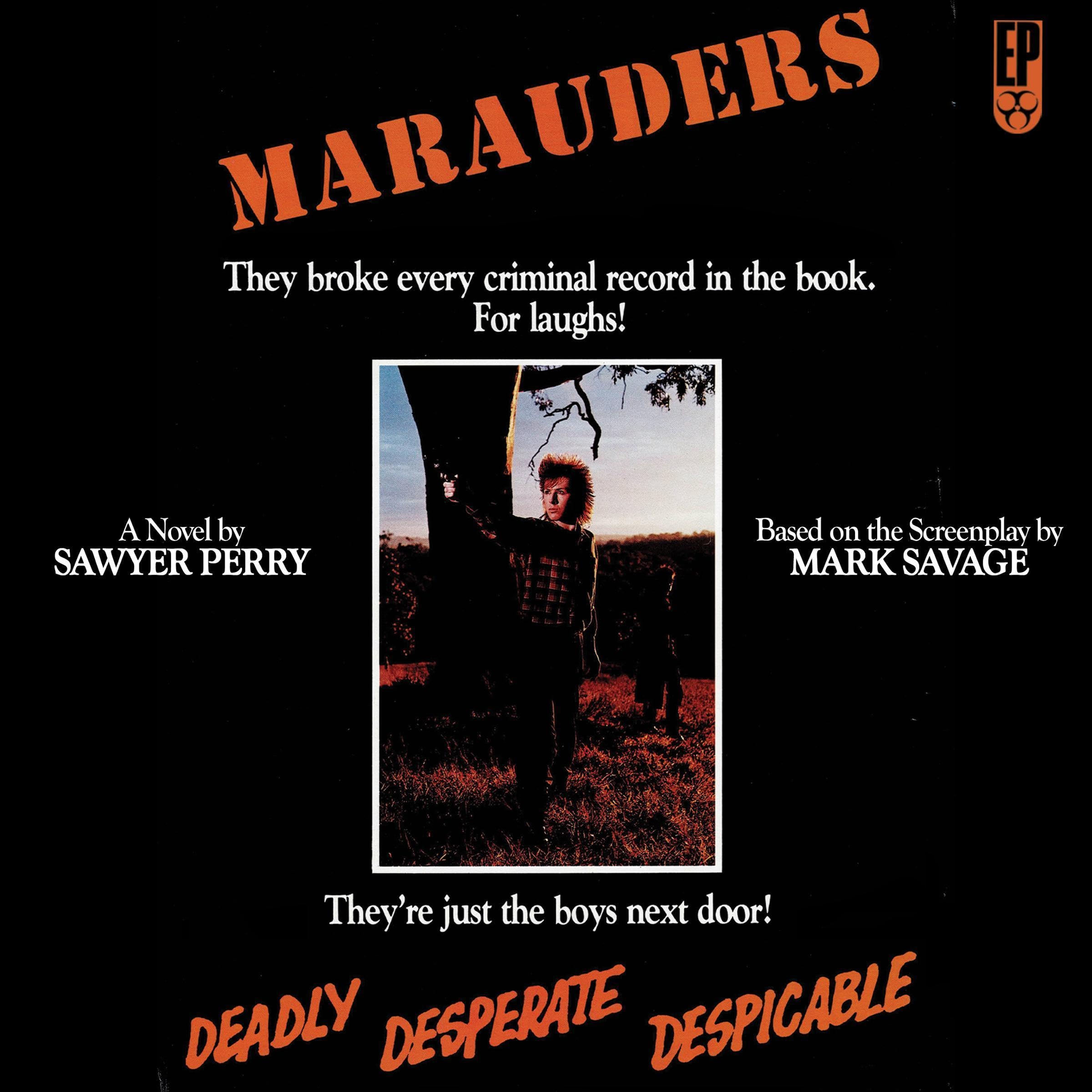 Cover art for Marauders