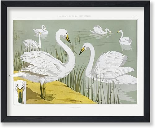 Miniatura 344 de Poster Master Póster vintage de flamenco americano, estampado retro de flamenco rosa, arte de pájaro, regalo para él, ella, amante de los animales,