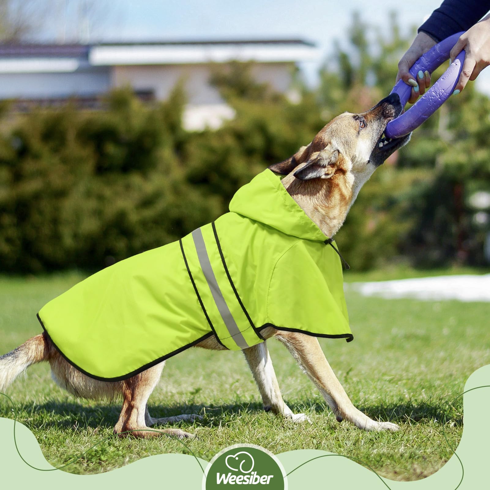 Weesiber Hunderegenmantel - Reflektierender Hund Regenmantel wasserdichte Regenjacke Hunde Verstellbarer Hundeponcho (L, Grün)