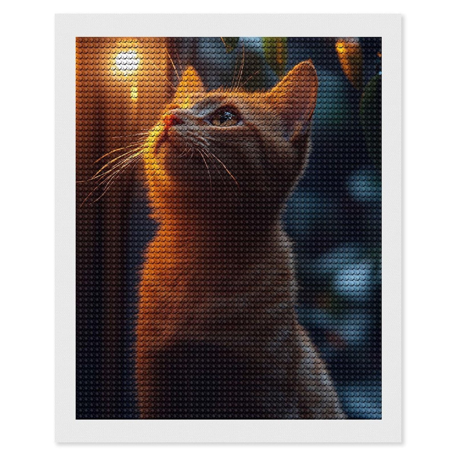 Junmoney Ginger Cat Gazing at Light Diamond Painting Canvas Kit 16"x20", Relaxing DIY, Modern Decor, Aesthetic Room Decor, Home Wall Art, Wall Art Gift