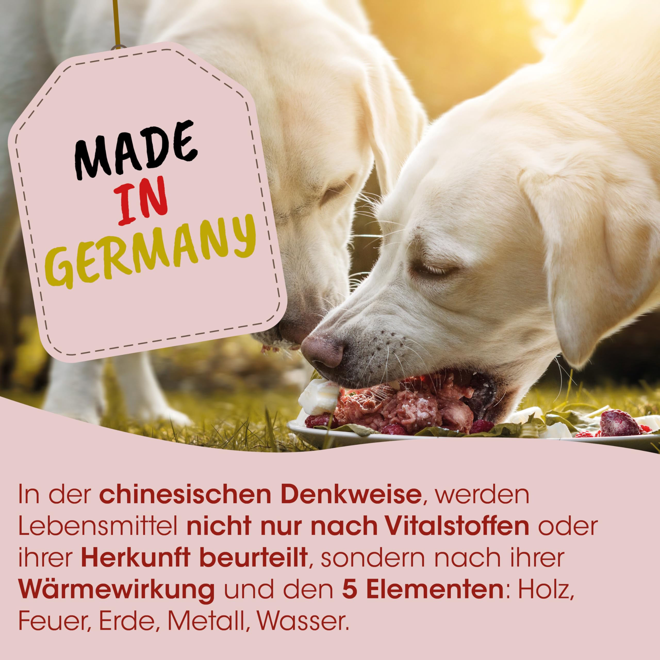 Fit-Barf Gemüse (TCVM) 2,5kg - Getreidefreie Alternative für Hunde & Katzen, Mit Topinambur & Karotte