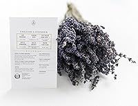 Vista 2 de Sereniseed Semillas de hierbas orgánicas certificadas (paquete de 10) – Sin OMG, reliquia – Video de inicio de semillas – Albahaca, cilantro