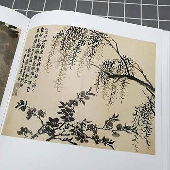 Amazon.co.jp: 扬州画派书画全集金农(修订版)[WX]天津人民美术出版社