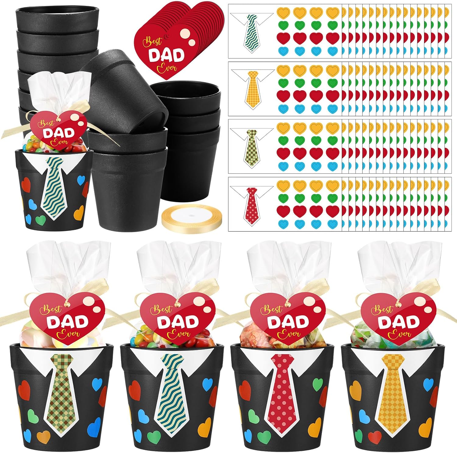 Hollowfly 24 Sets Father's Day Crafts Bulk DIY Dad Gifts with 24 Pots 24 Gift Bags 24 Stickers 24 Cards Father's Day Crafts Fun Activities for Dad Father Party Favors Goodie Bags Home Family