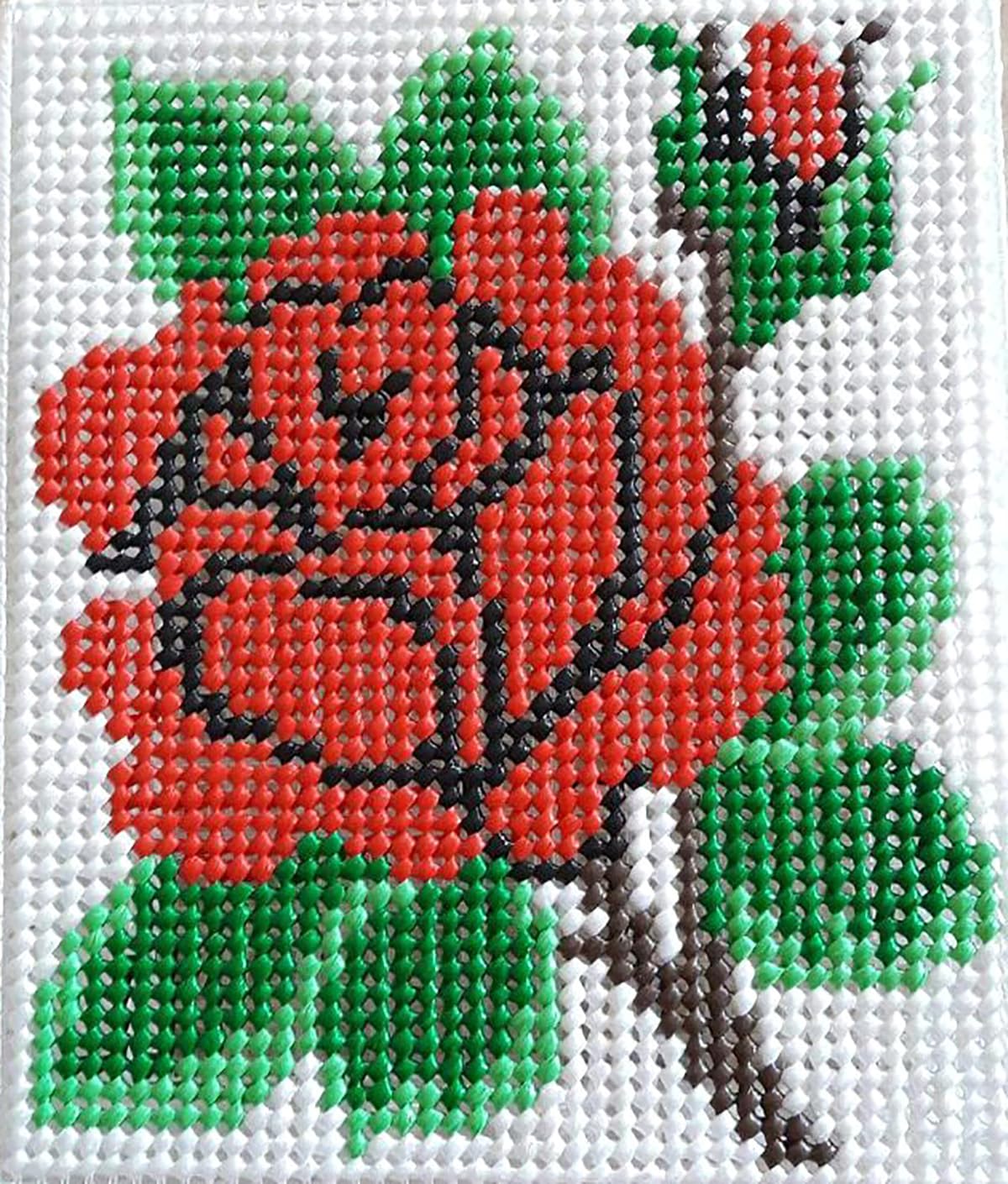 Plastic Mesh Canvas Sheets Eye Mesh Plastic Needlepoint Canvas for for Embroidery 32 x 25cm (Black Colour)