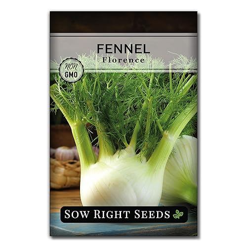 Sow Right Seeds - Florence Fennel Seed for Planting - Non-GMO Heirloom Packet with Instructions to Plant and Grow in Your Herbal Garden - Great for Seasoning and Cooking - Attract Pollinators (1) - 1