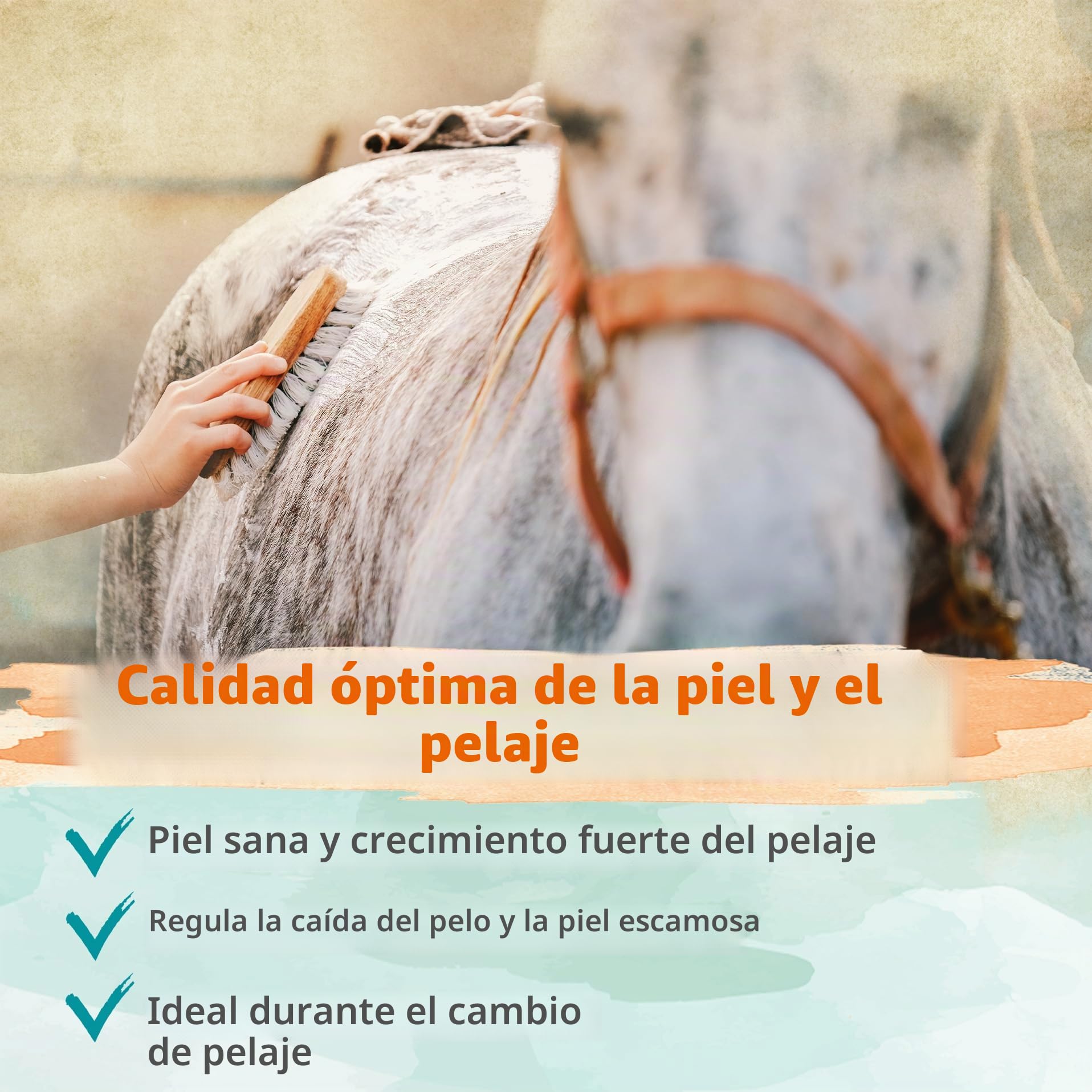 Ida Plus Biotina + zinc para caballos, alta dosis, mejora la calidad de pezuña y el crecimiento de pezuñas, ayuda a la piel, el pelaje y el sistema inmunológico, cambio de pelaje, 750 g