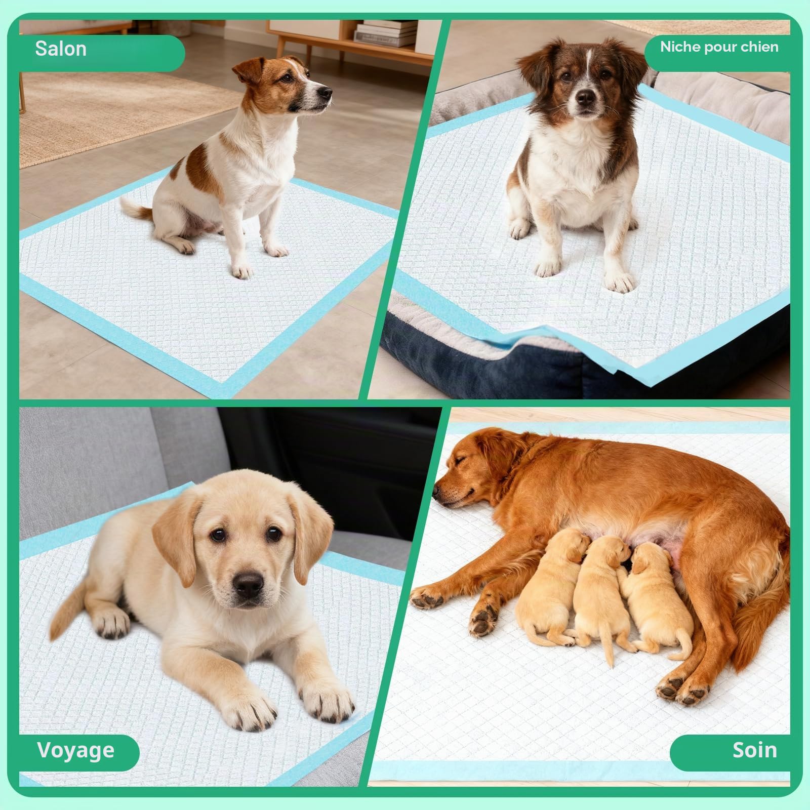 100 PCS Alaise pour Chien, 60×60 cm Tapis absorbant Chiot et Chat, Tapis de Propreté Animaux de Compagnie avec 6 Couches, il Est Capable de Sécher Rapidement et Empêche les Infiltrations D'eau