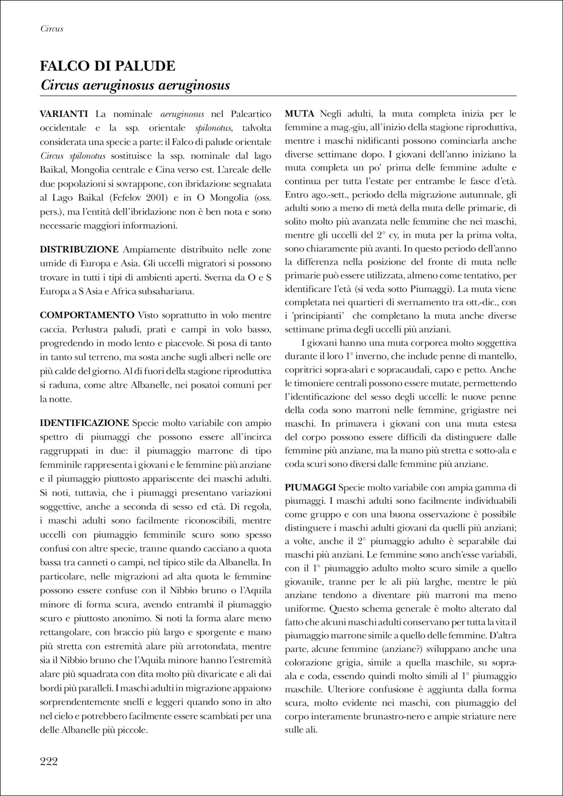 Identificare i rapaci in volo. Europa, Nord Africa e Medio Oriente