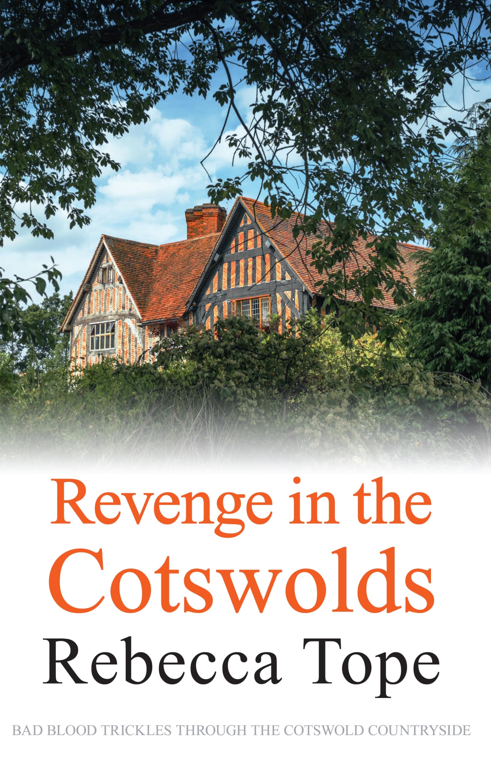 Revenge In The Cotswolds (Cotswold Mysteries)