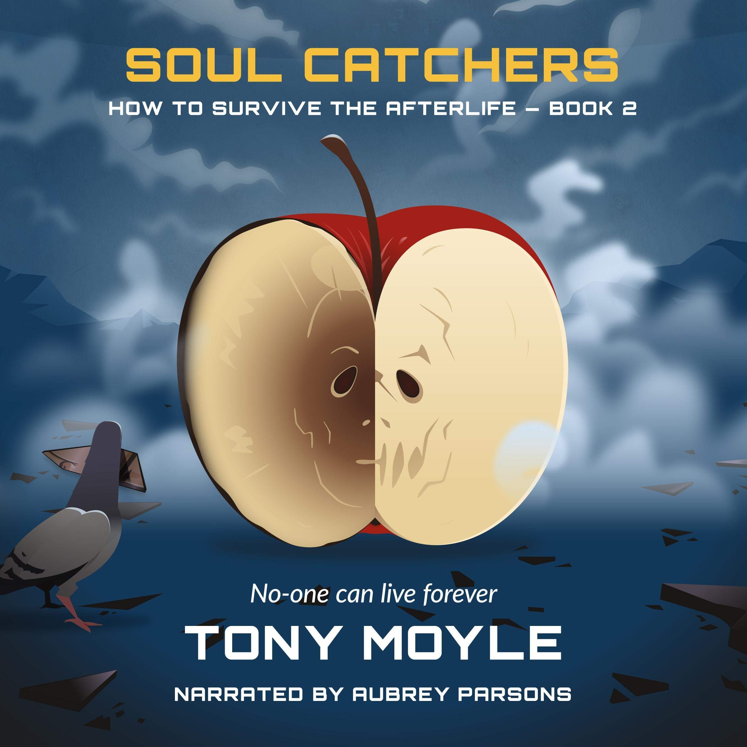 Cover art for Soul Catchers