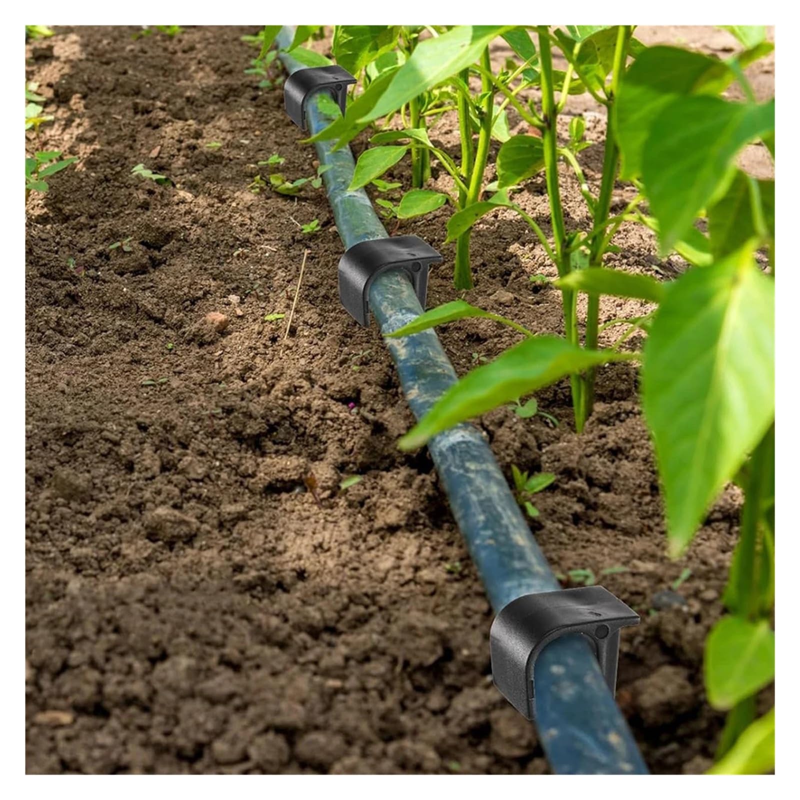 Suministros de jardinería 50 estacas de Tierra Tipo C de 16 mm y 20 mm for tuberías de PE de 1/2 y 3/4 Pulgadas, Soportes for Accesorios de riego por Goteo de jardín. Boquilla(B-50PCS)