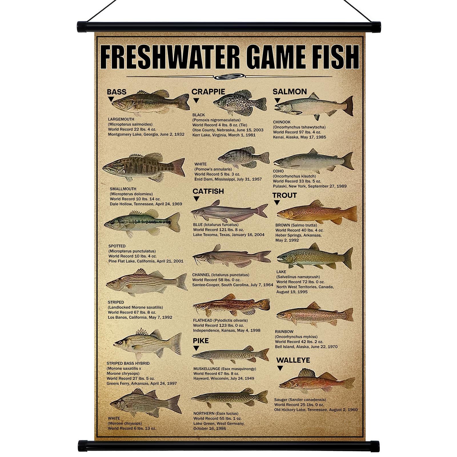 Geyee Fish Vintage Poster Wall Decor Mallard Ducks Hunting Art Knowledge Picture Prints Wall Decor for Home Kitchen Office Classroom Living Room Bedroom Frame, 15.8 x 23.6 Inch