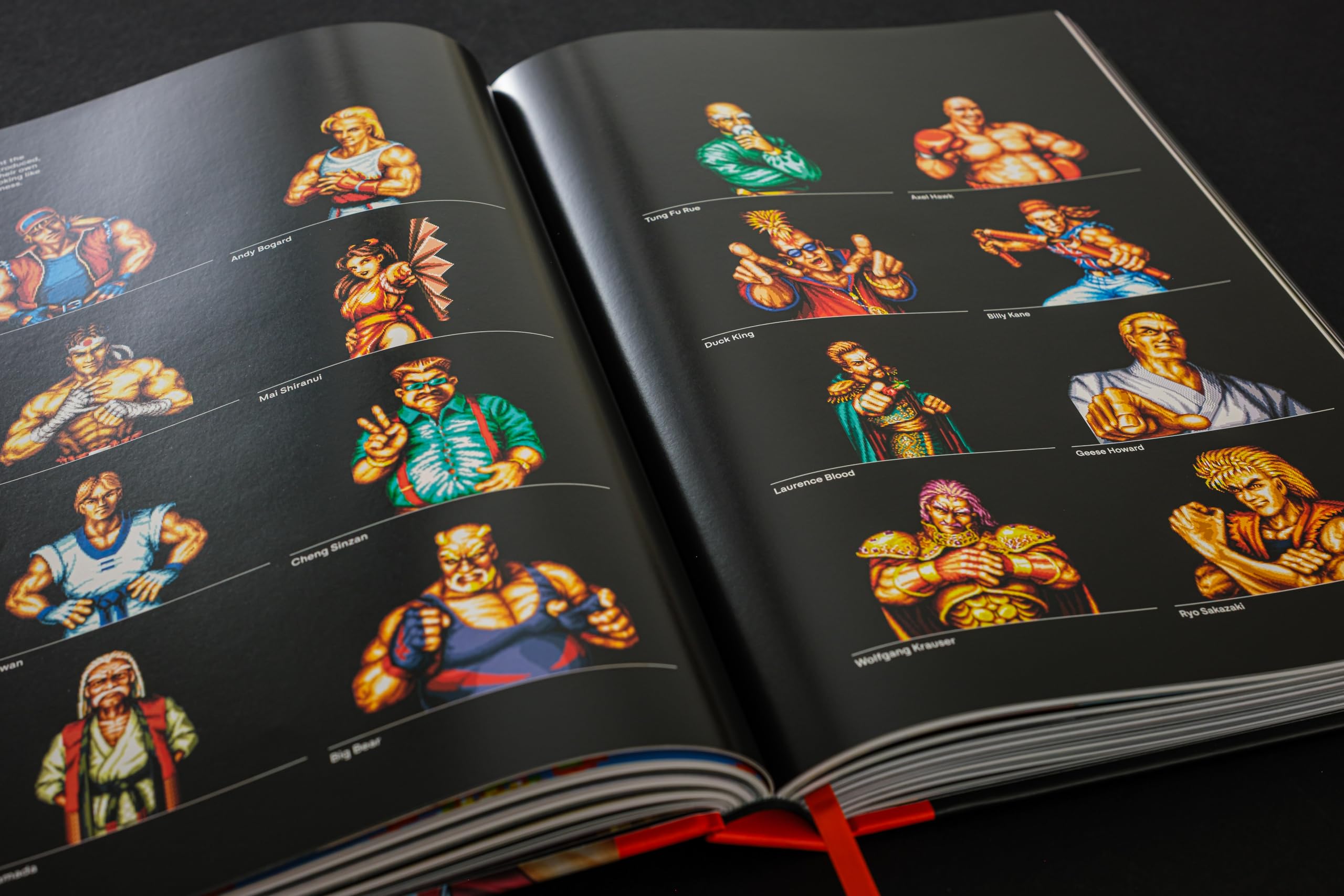 Fatal Fury/Garou Densetsu: The Ultimate History