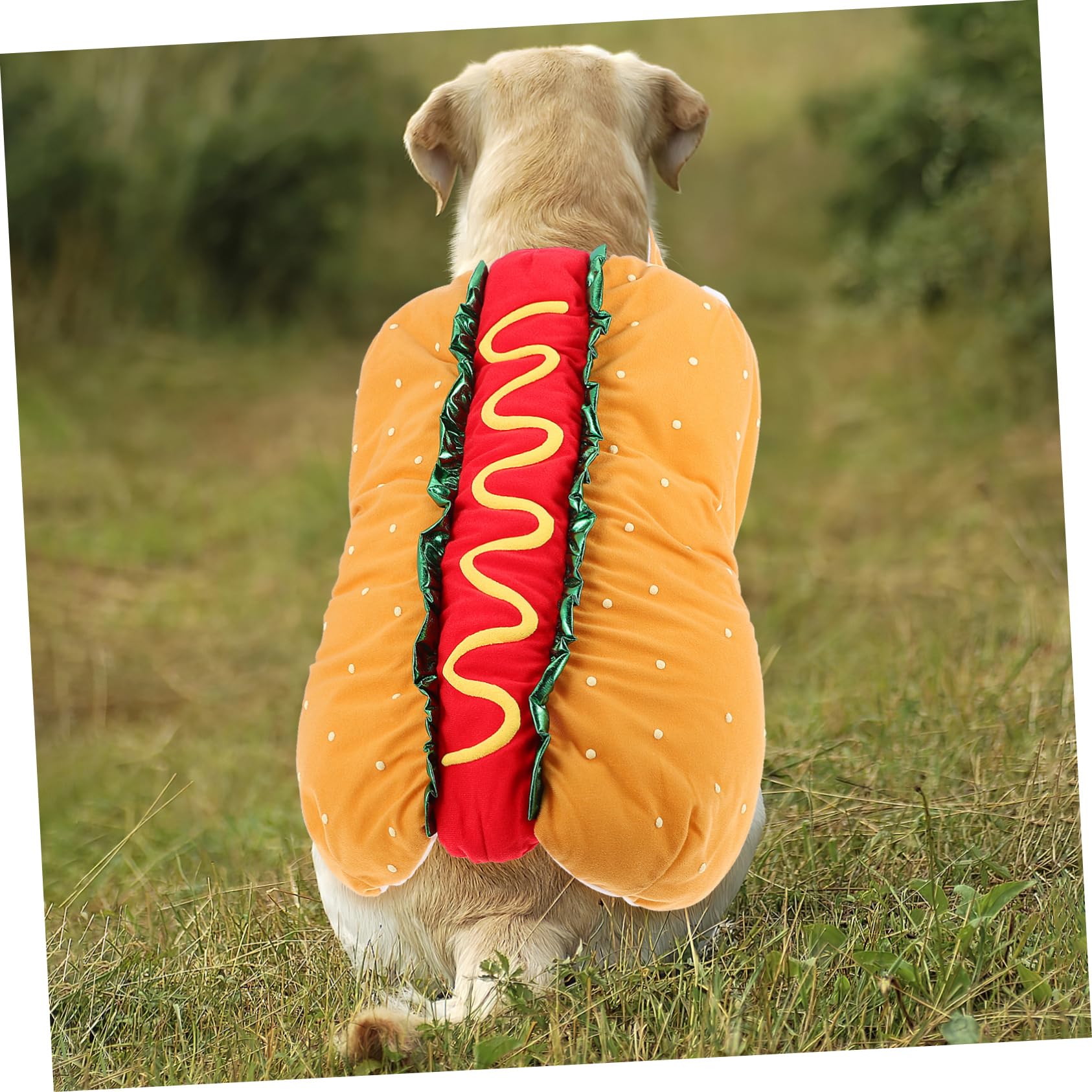 BESPORTBLE 1pezzi Costume Natalizio Per Animali Domestici Semplice Da Indossare e Rimuovere Per Feste o Servizi Fotografici Adatto Cani e Gatti Di Tutte