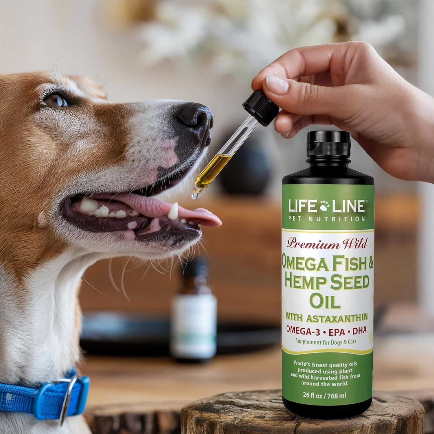 Lifeline Premium Pet Hemp Oil for Dogs & Cats – Omega 3 Supplement with Fish Oil & Astaxanthin for Joint Health, Itchy Skin & Anxiety – Dog Hemp Oil Supports Pain Relief – 26 oz