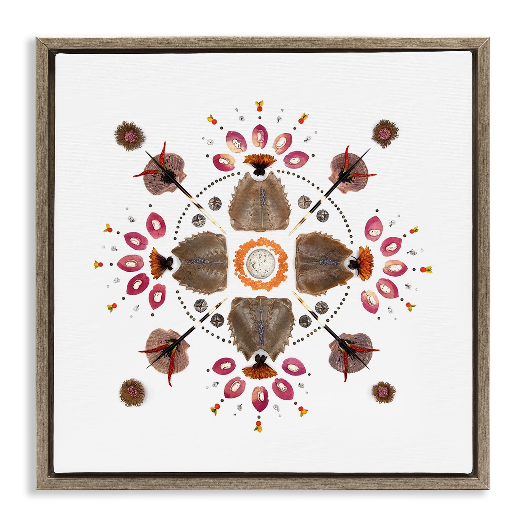 'Symmetrical Nautical Collection'| Floating Frame Canvas Art