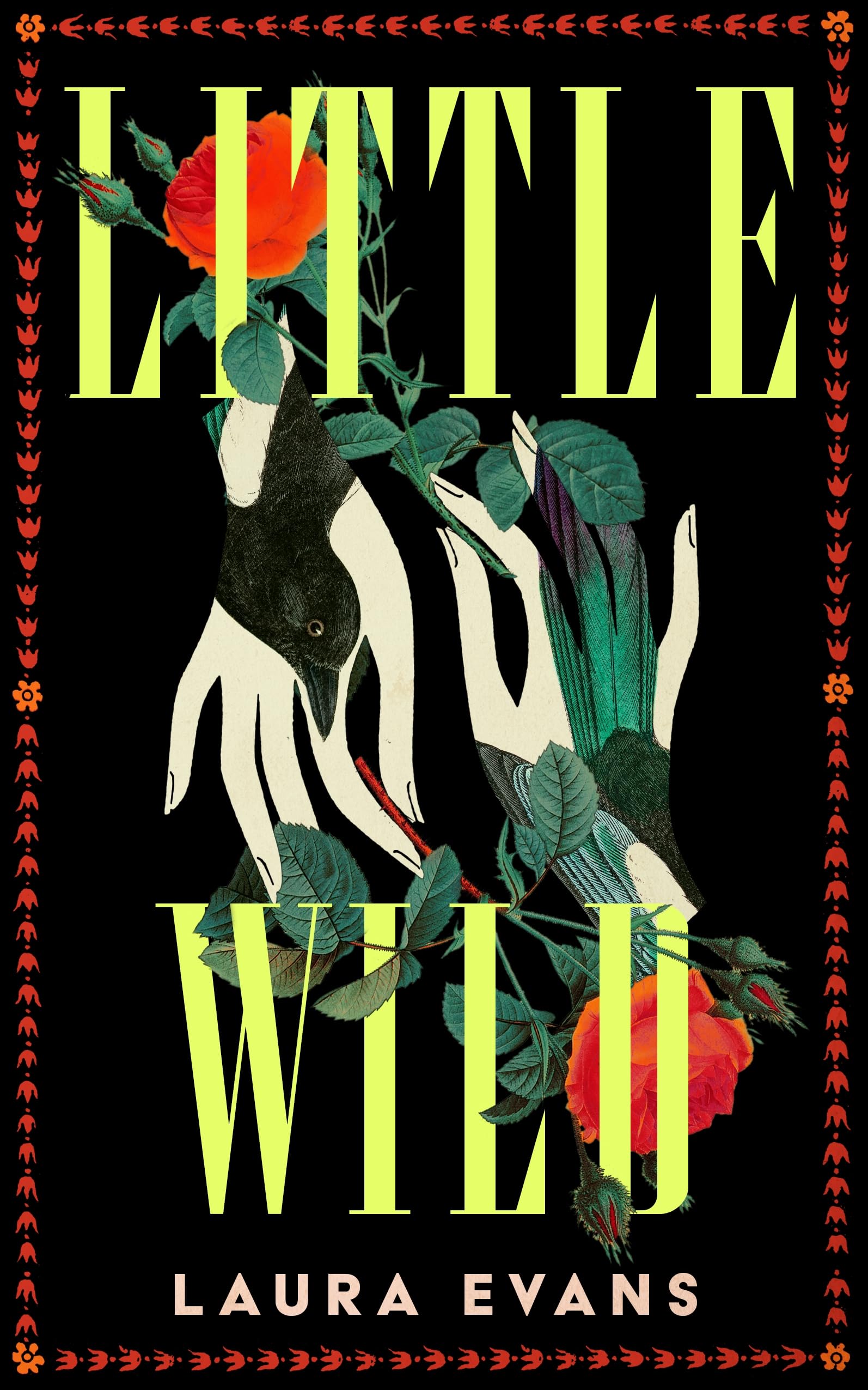 Little Wild: 'Absolutely Mesmerising' - Lucy Rose, bestselling author of The Lamb