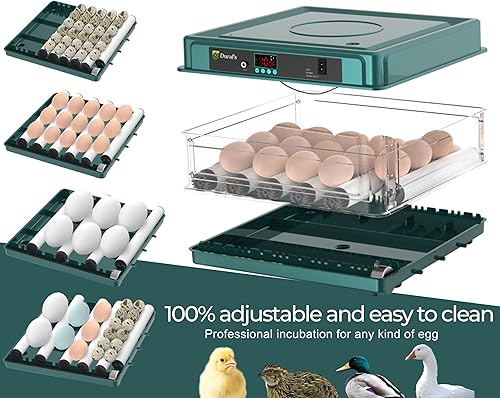Miniatura 5 de Dural's  Incubadora de huevos para incubar huevos  Certificación RoHS  Incubadora con temperatura automática y giro de huevos  Manual + libro