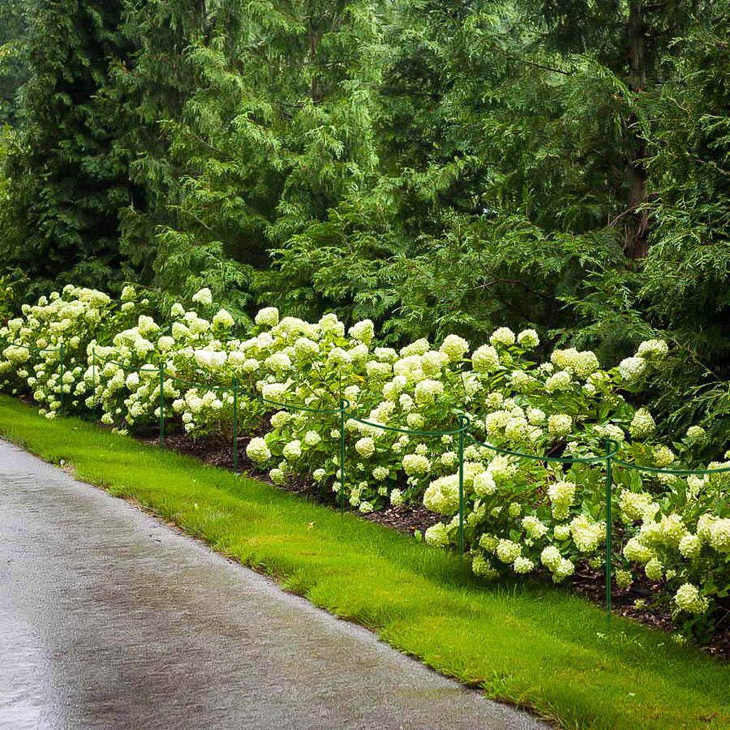 2-er Pack Rankhilfe Zimmerpflanzen | Pflanzenstütze Rund Für Große Pflanzen Und Blumen | Monstera Rankhilfe | Für Pflanzen-wachstum