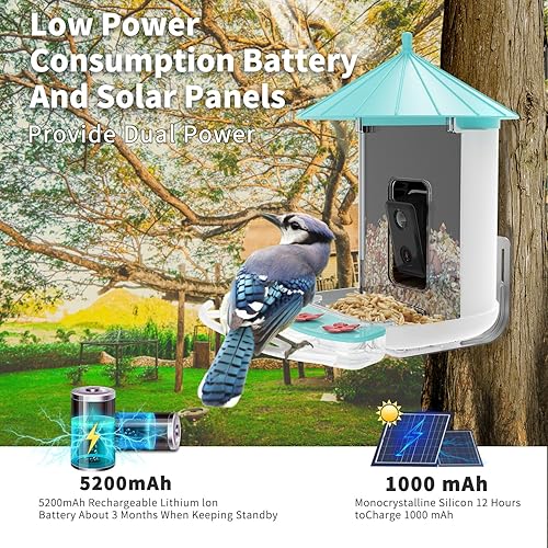 Miniatura 4 de LETTON Cámara inteligente alimentadora de pájaros, alimentada por energía solar, identificación de especies de aves AI, video HD 1080P, WiFi