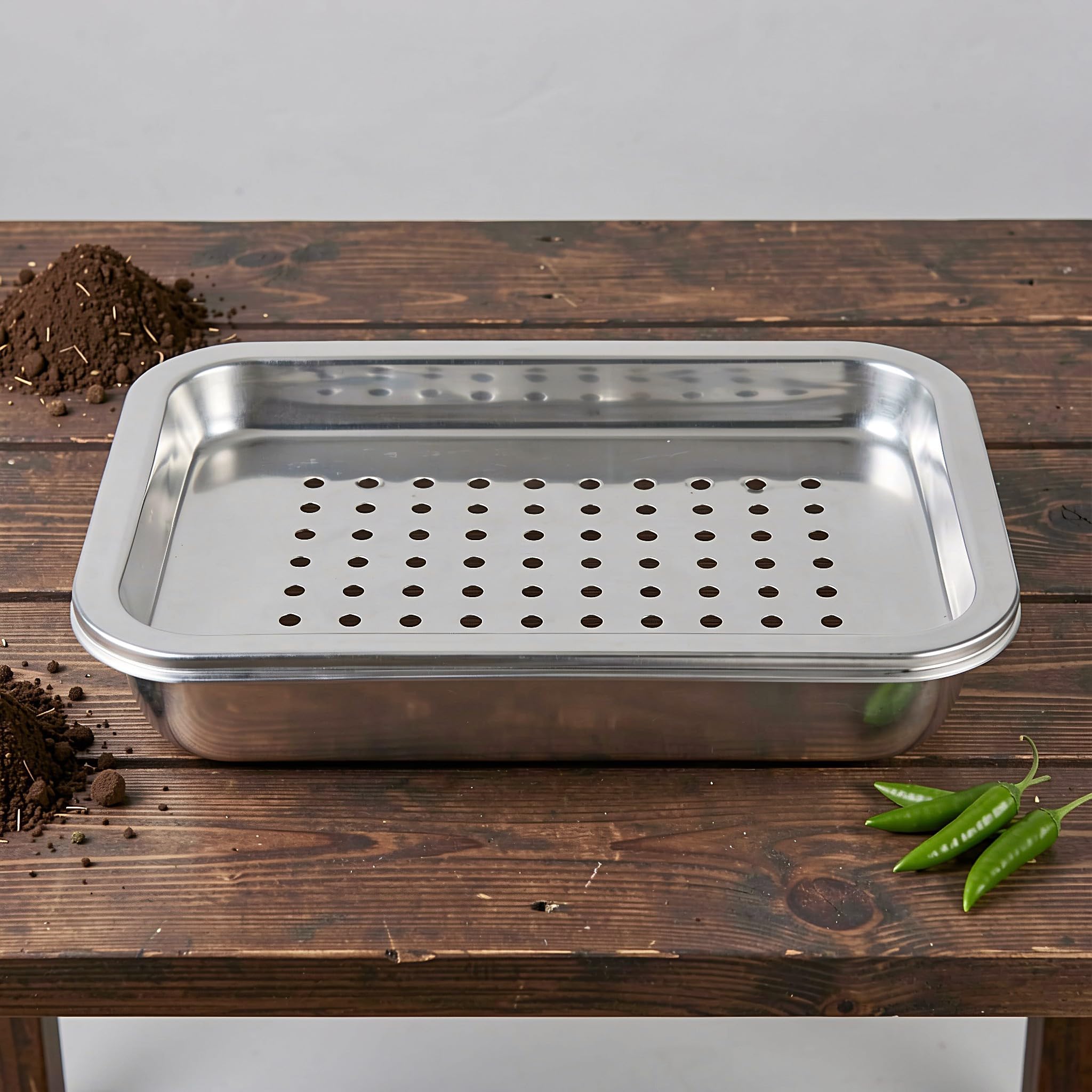 Abaodam 2 Set Vassoio di Germinazione in Acciaio Inox Argento, Set da 2