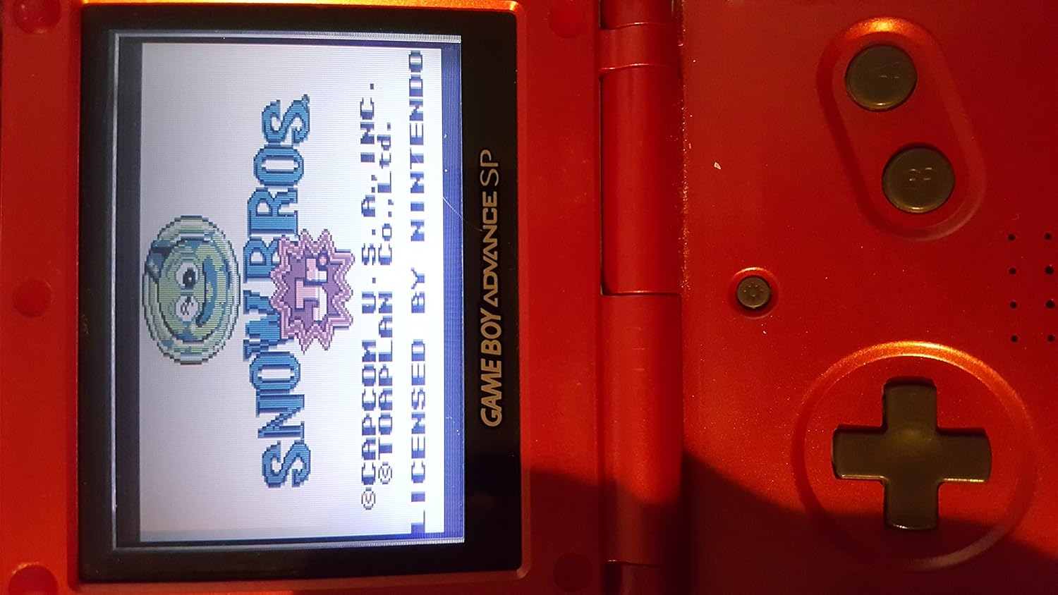 Snow Brothers (Renewed)