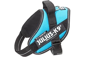 Julius K9 Powerharness Aquamarine