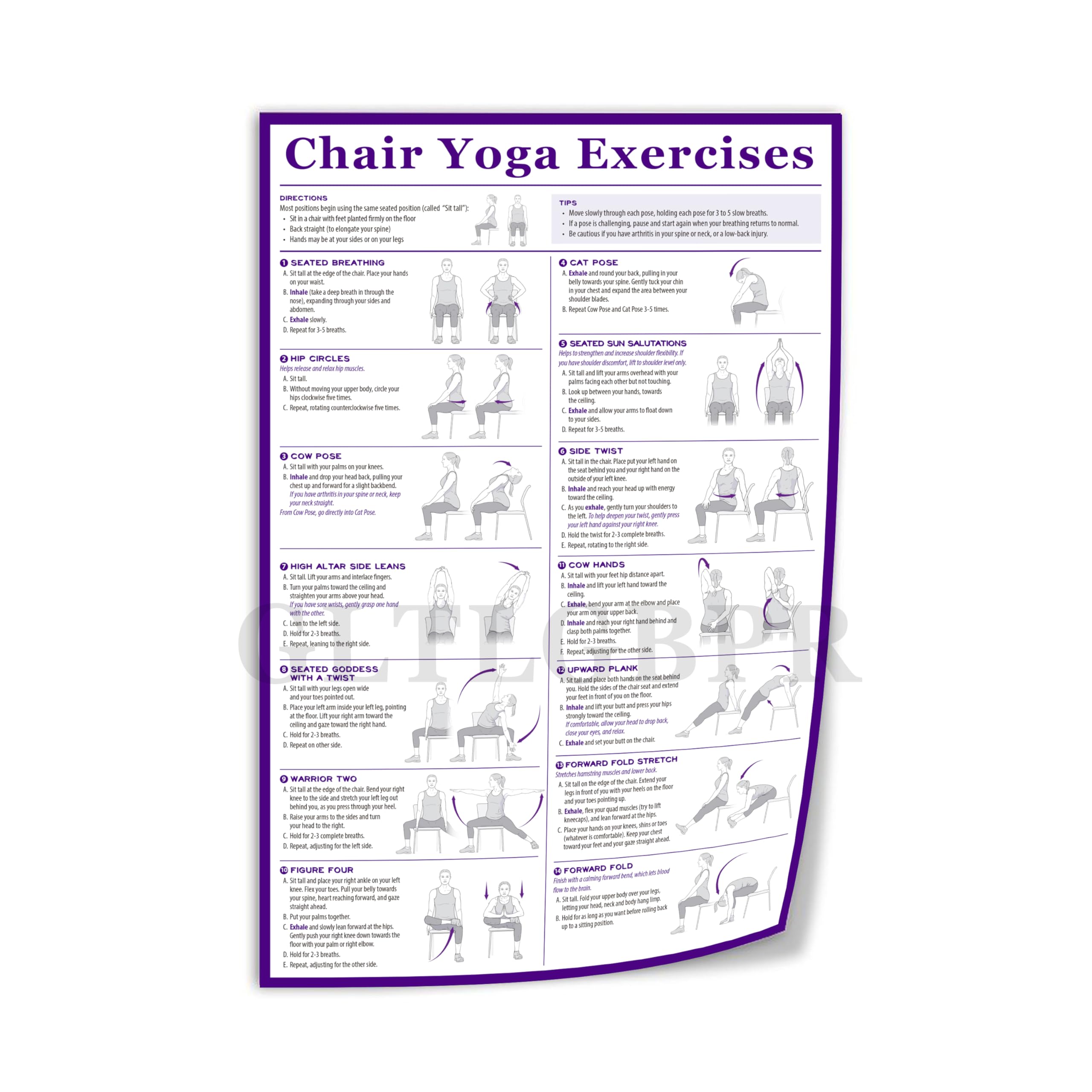 30 Chair Yoga Exercise In Our Guide For Seniors Wheelchair User Home Balance Flexibility 30day