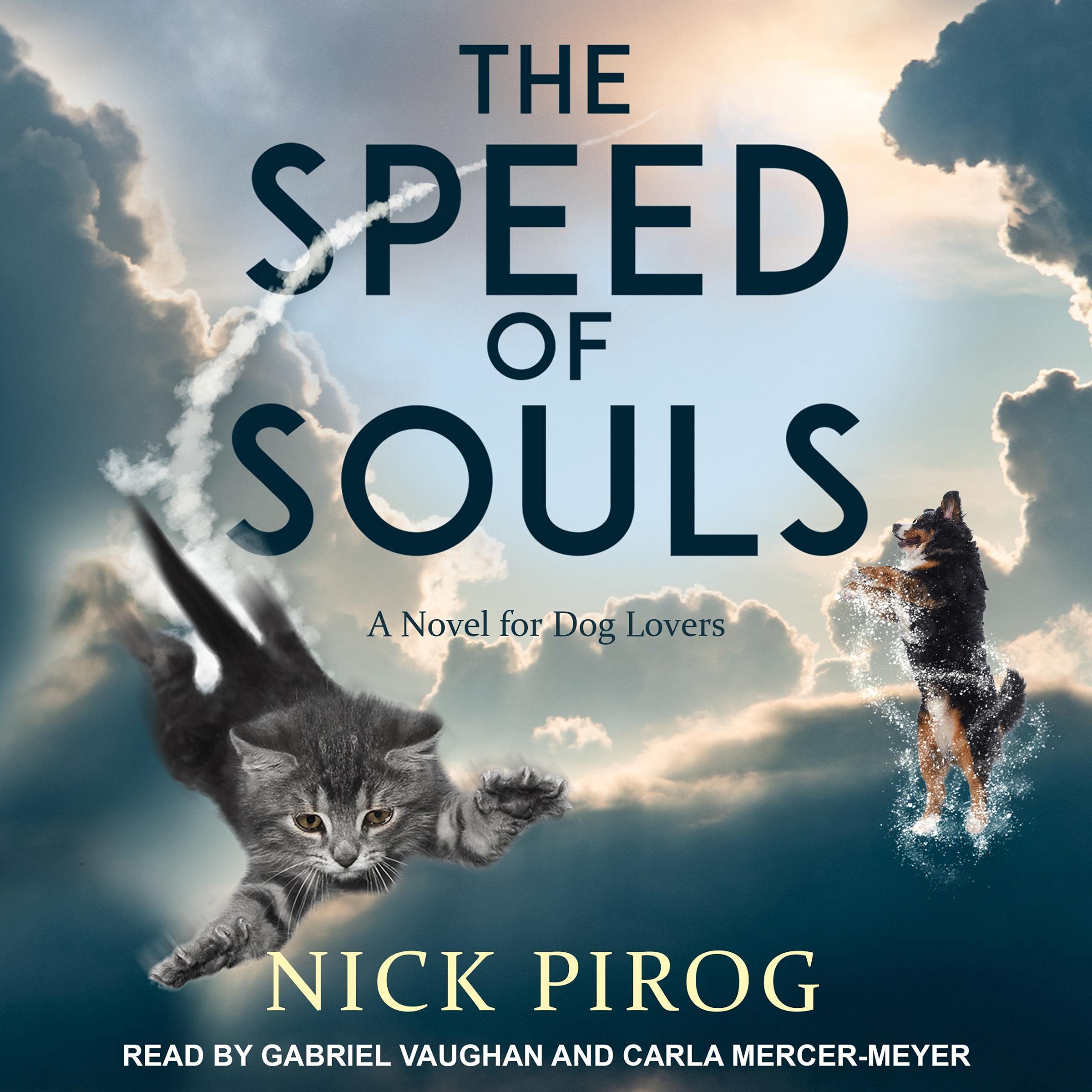 Cover art for The Speed of Souls