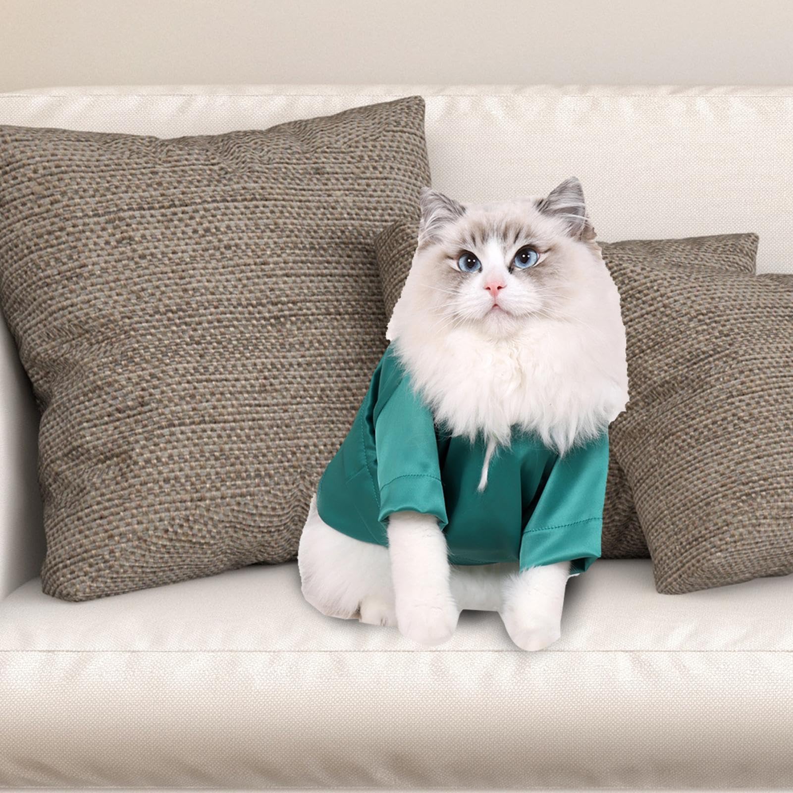 Amazon | 猫のタキシードコスチューム、猫用タキシードシャツ | 猫服