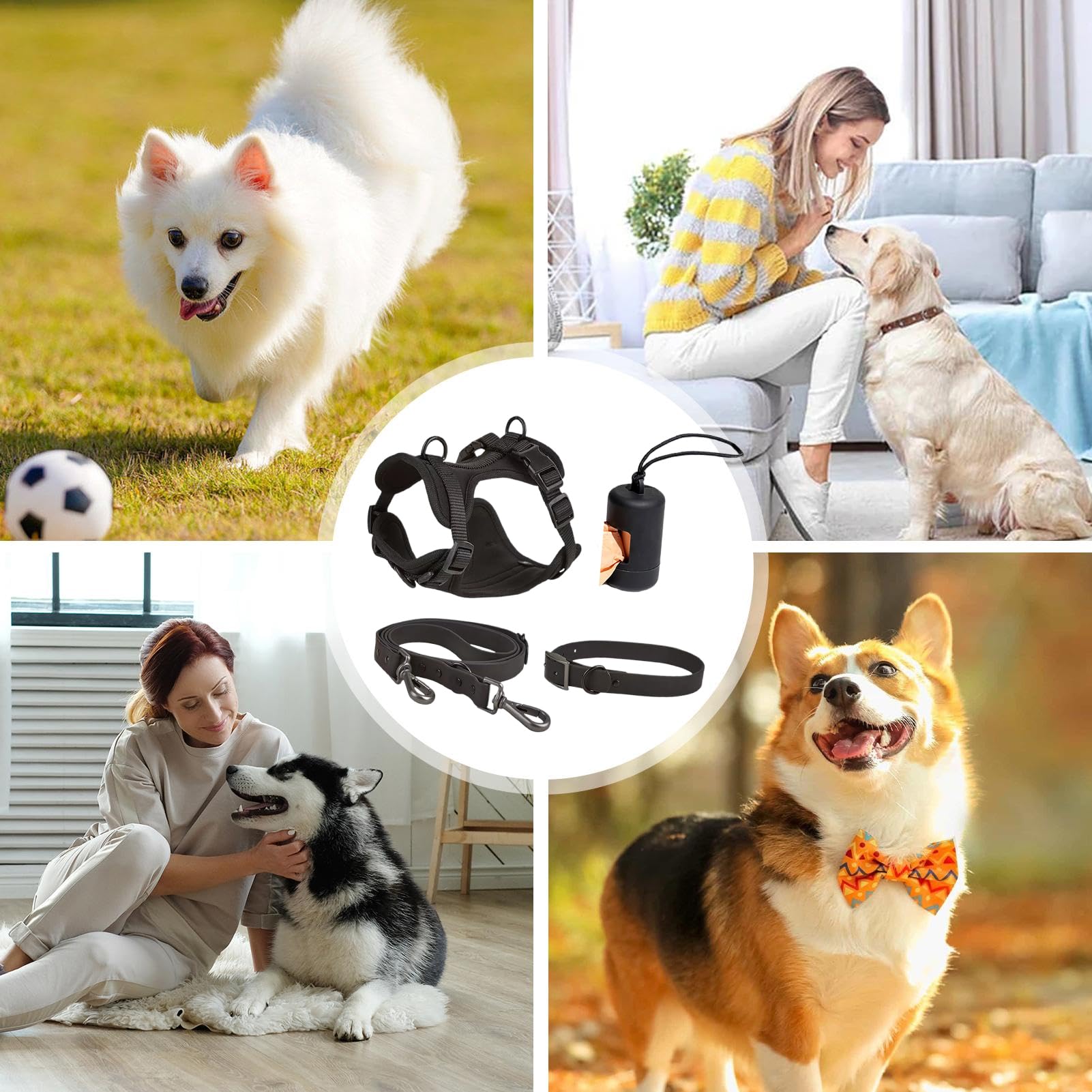 Juego de correas para perros, juego de arnés para perros, juego de arnés | para perros pequeños, arnés de collar y correa, arnés ajustable sin tirones con soporte para bolsas de excrementos