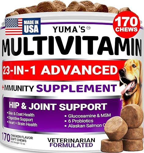 Multivitamínico masticable con glucosamina para perros Vitaminas y suplementos para perros 170 golosinas Multivitamínico para adultos mayores y