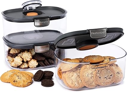 Progressive ProKeeper International Airtight Food Storage Container with Terracotta Disk