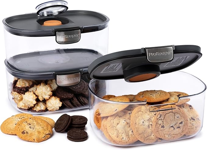 Progressive ProKeeper International Airtight Food Storage Container with Terracotta Disk