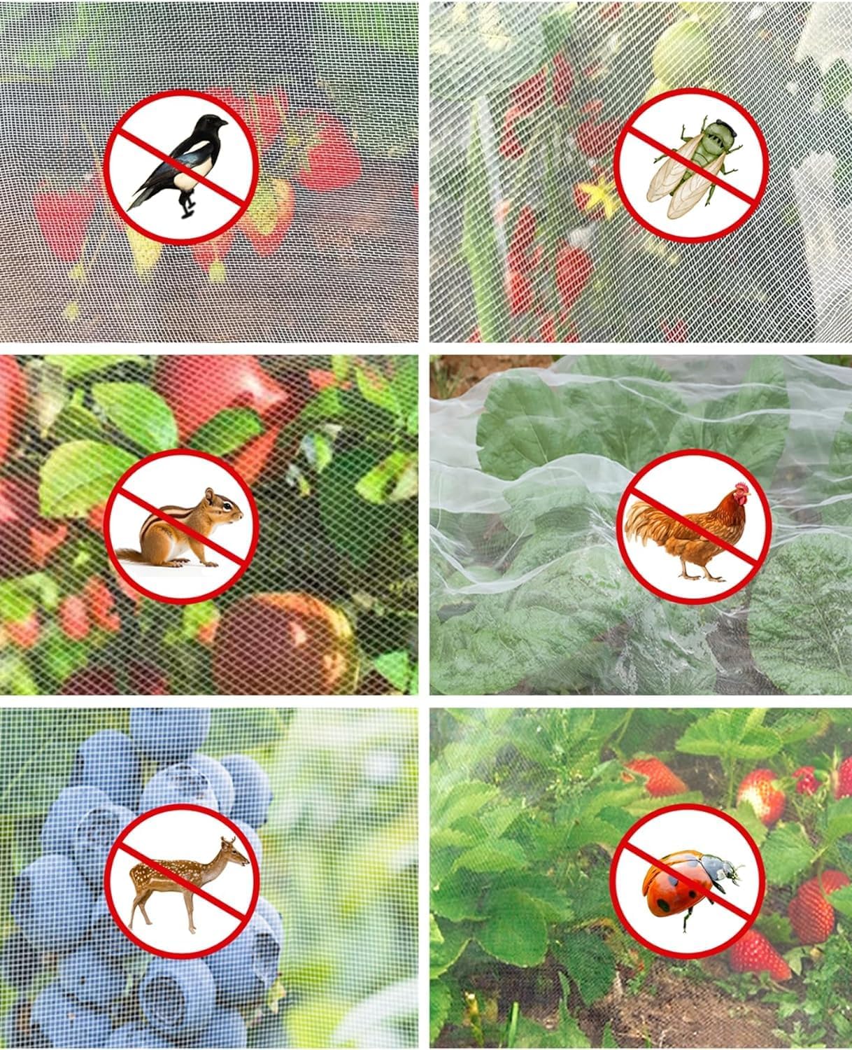 https://m.media-amazon.com/images/I/81Wsf9pUFJL._AC_SL1500_.jpg