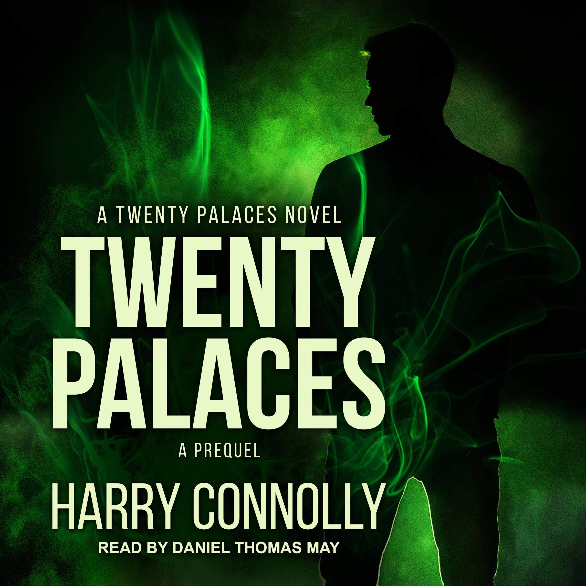 Cover art for Twenty Palaces