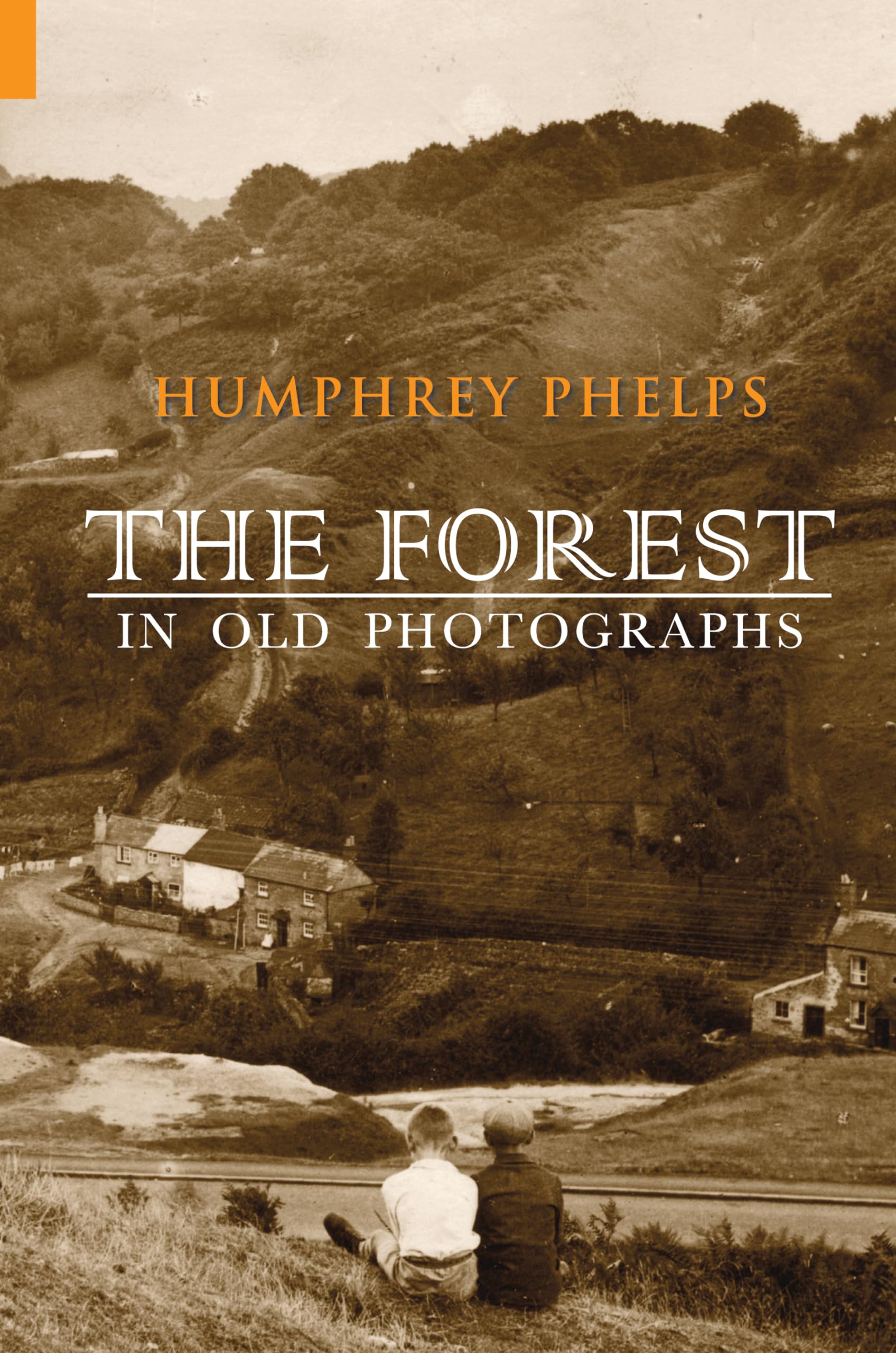 The Forest in Old Photographs-Humphrey Phelps