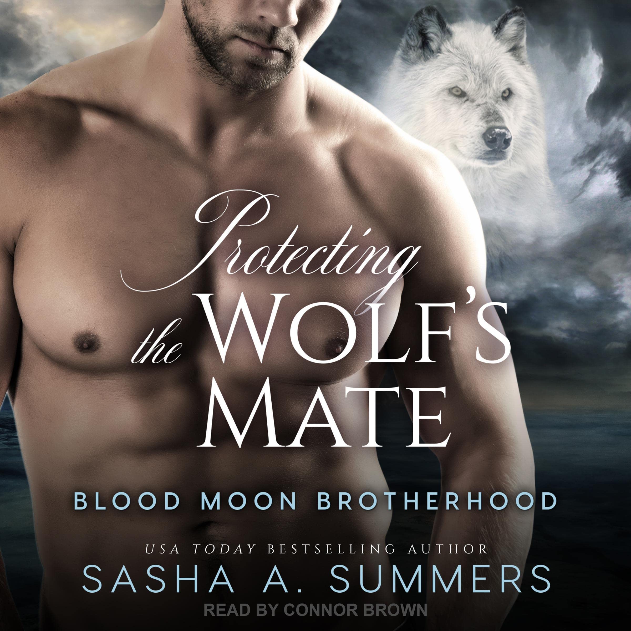 Cover art for Protecting the Wolf's Mate
