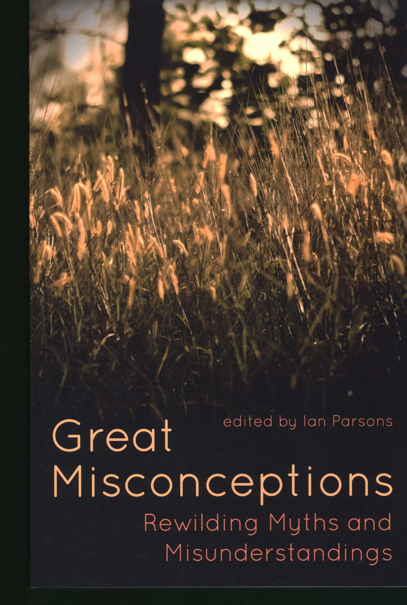 Great Misconceptions by Ian Parsons PAPERBACK 9781849955898
