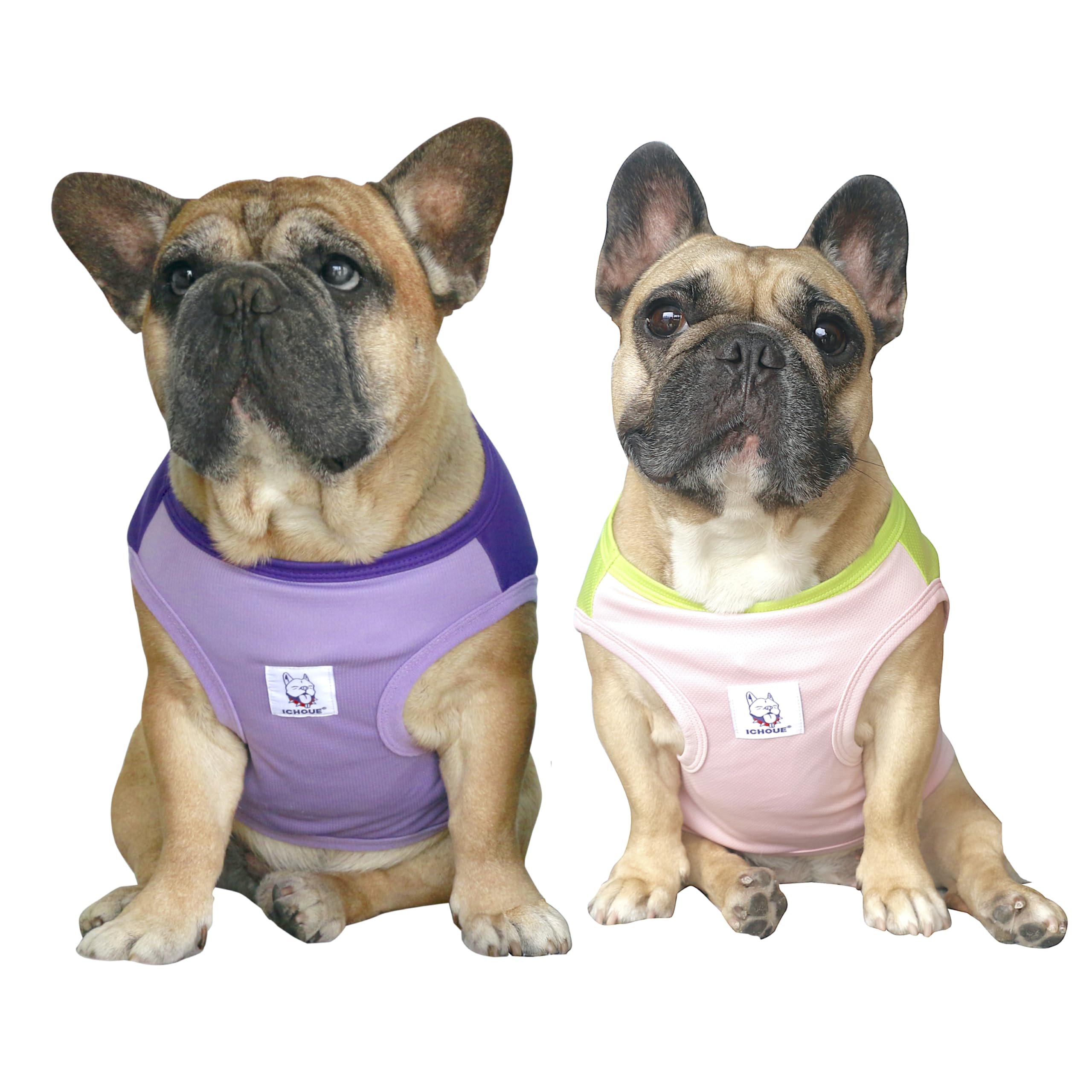 iChoue 2pcs French Bulldog Summer Cooling Shirts Pink Green Purple - Large