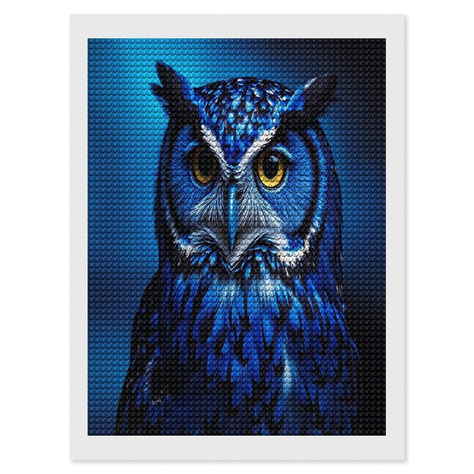FekiLoot Blue Owl Diamond Painting Kits for Beginners DIY Diamond Art Kits for Adults Full Drill Round Diamond Dot Gem Art Painting Fun DIY Crafts for Home Kitchen Wall Decor Gift 12"x16"