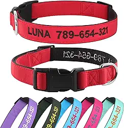 Kuley Coleira de Cachorro Personalizada, Bordada com Nome e Número de Telefone para Cães Extra-pequenos Pequenos Médios Grandes(vermelho)