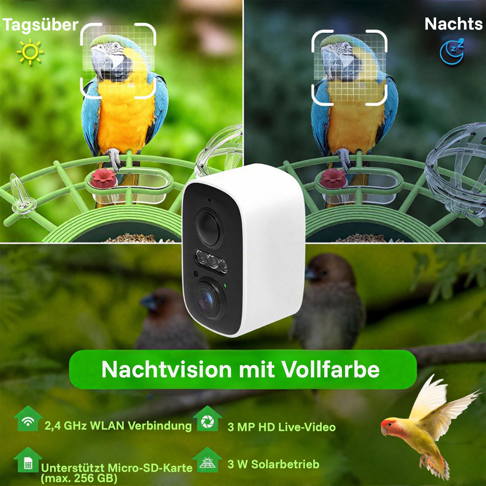 PEUZ Comedero para pájaros con cámara – 3 MP HD resolución solar y WiFi 2,4 GHz, detección de aves IA y notificación de aplicaciones, IP65 resistente a la intemperie, visión nocturna, gran angular de
