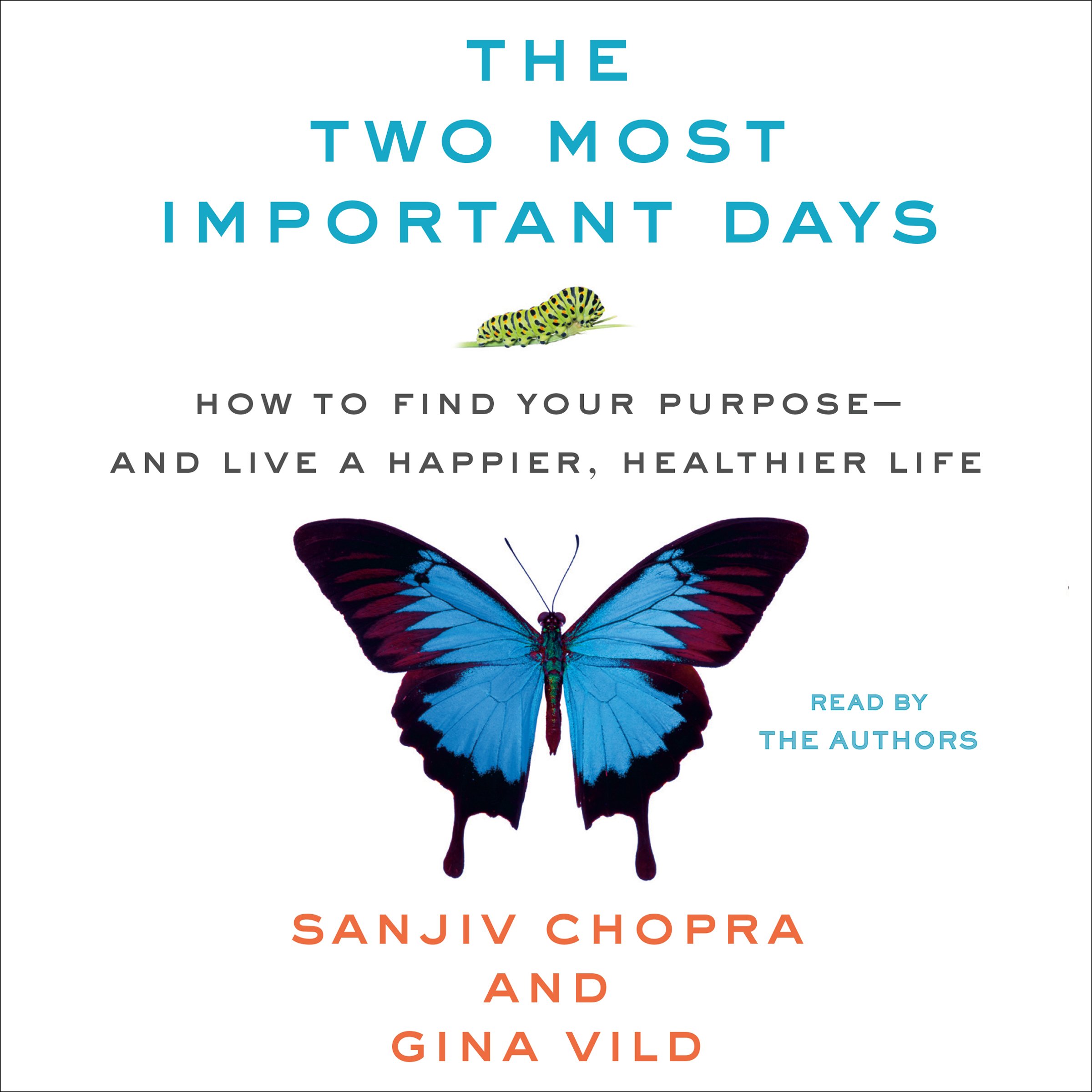 Cover art for The Two Most Important Days