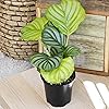 Product Photo 4