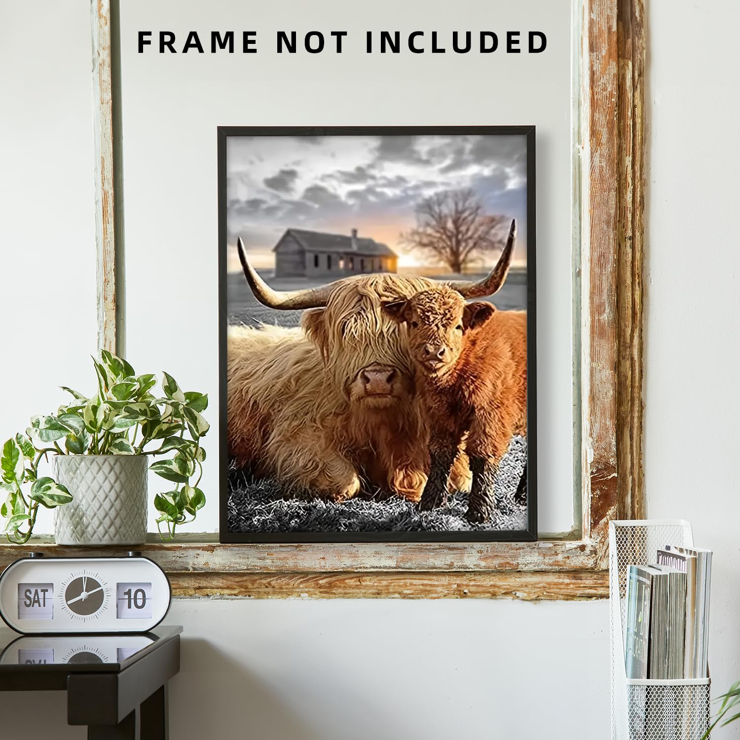 NymphFable Affiche Murale Vache Highland Poster Affiche Murale Vache Rustique pour Décoration Salle de Séjour Chambre Farmhouse 12x16 in Non Encadré