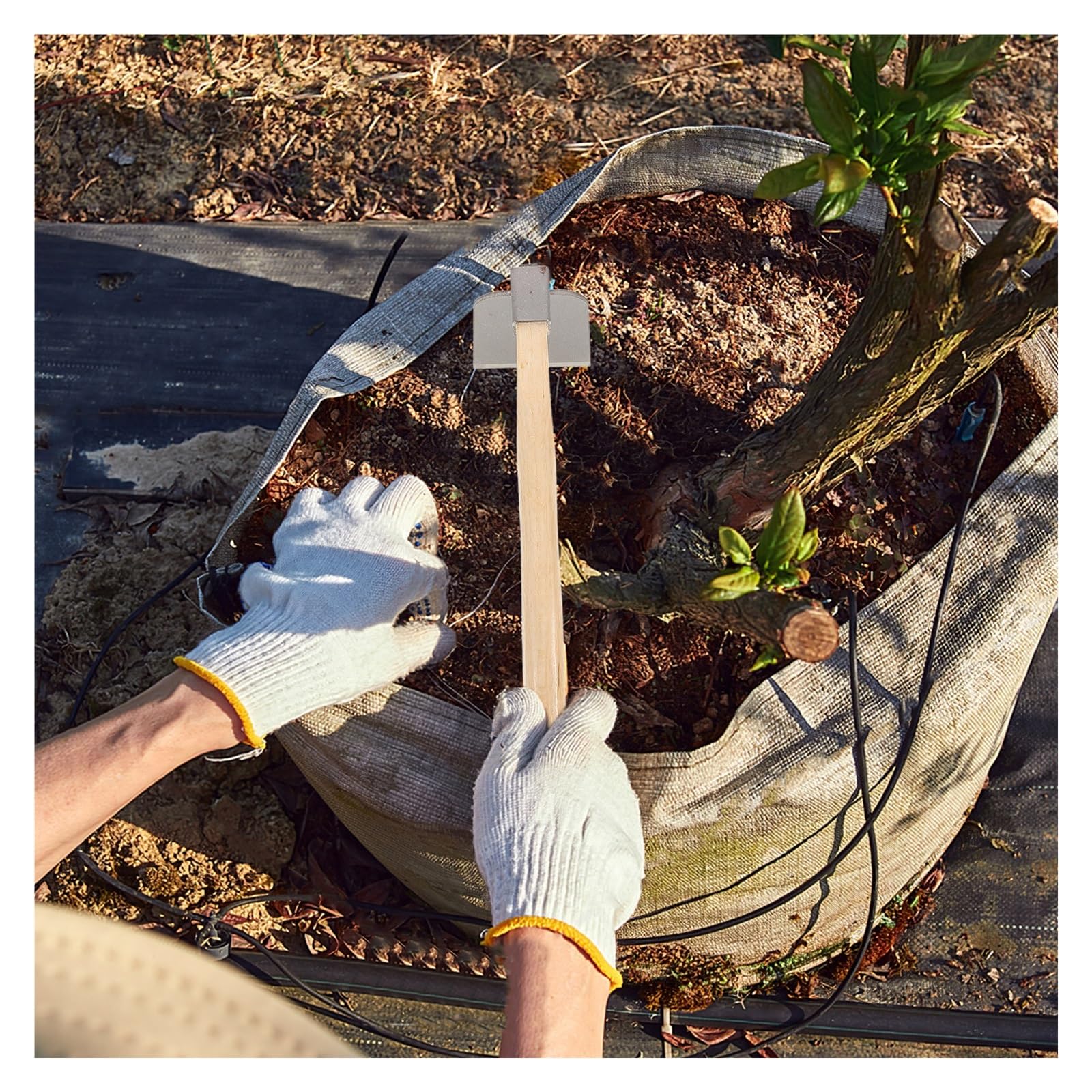 Zappa da Giardino, Piccola Testa in Acciaio con Manico in Legno Portatile Multifunzionale for piantare l'allentamento del Terreno